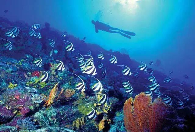 联通38元畅越冰激凌套餐放心用版流量超出后怎么收费？游戏画面